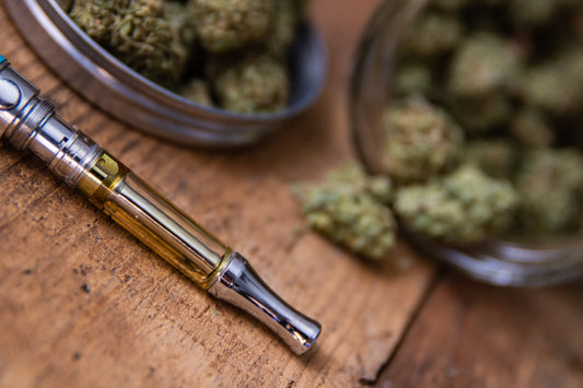 Breeding Cannabis Plants: The Basics