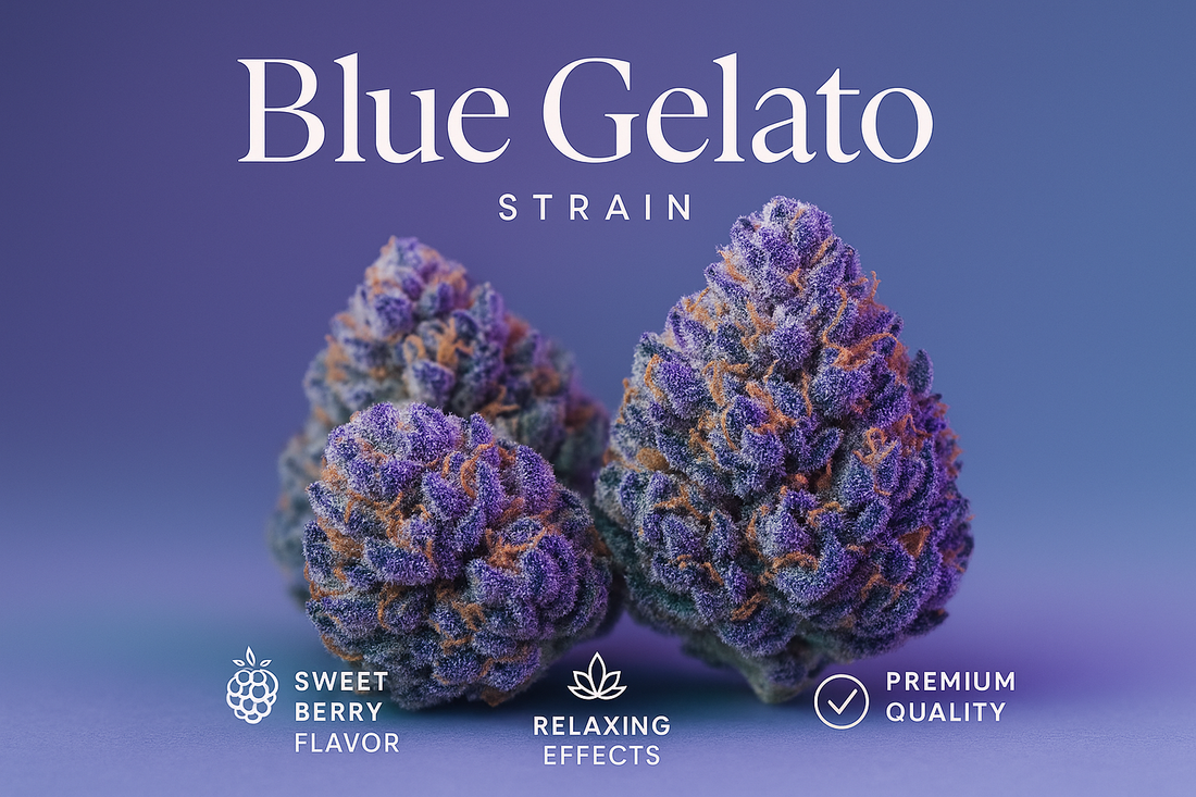 Blue Gelato Strain: Flavor, Effects & Why It Stands Out