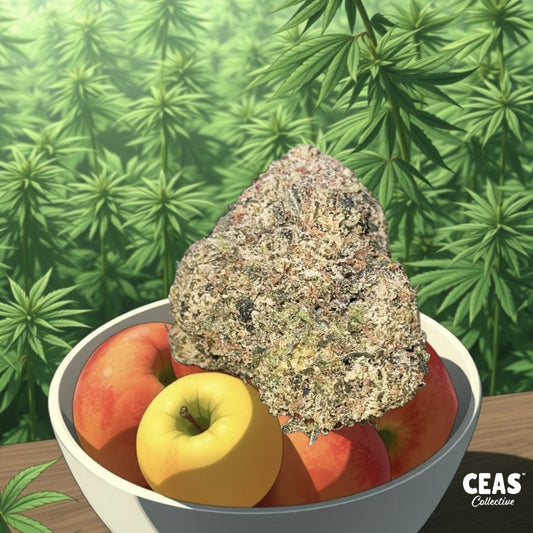 Apple Fritter 7g - CEAS Exotics