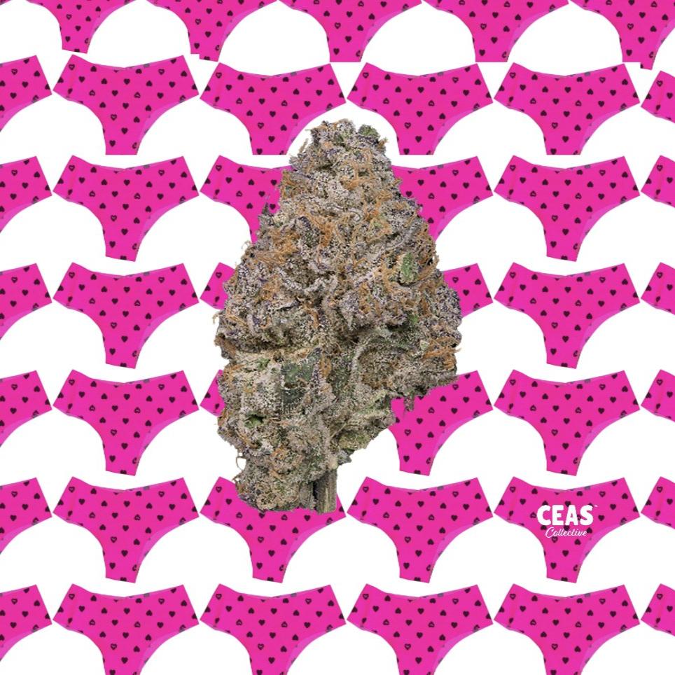 Pink Panties 7g - CEAS Exotics