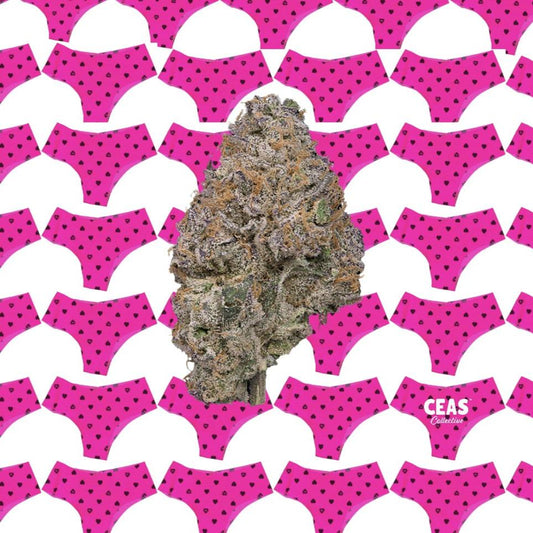 Pink Panties 7g - CEAS Exotics